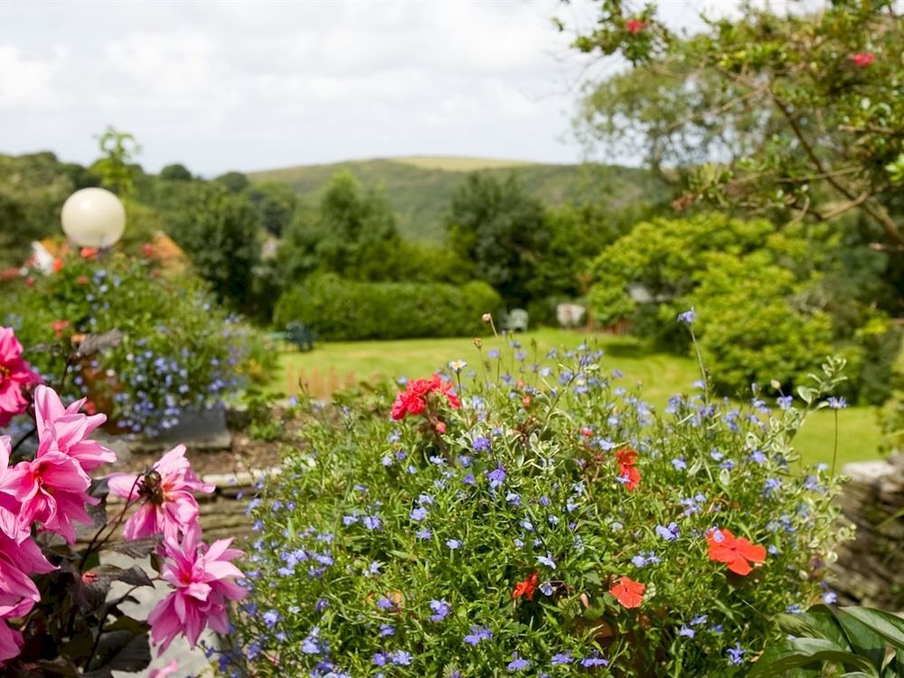 Boscastle House Bed & Breakfast Bagian luar foto