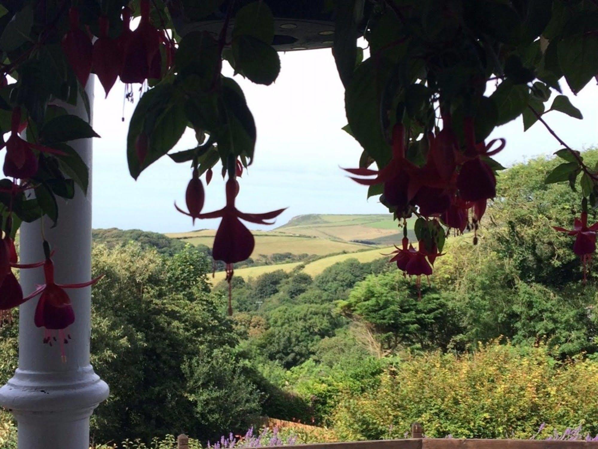 Boscastle House Bed & Breakfast Bagian luar foto