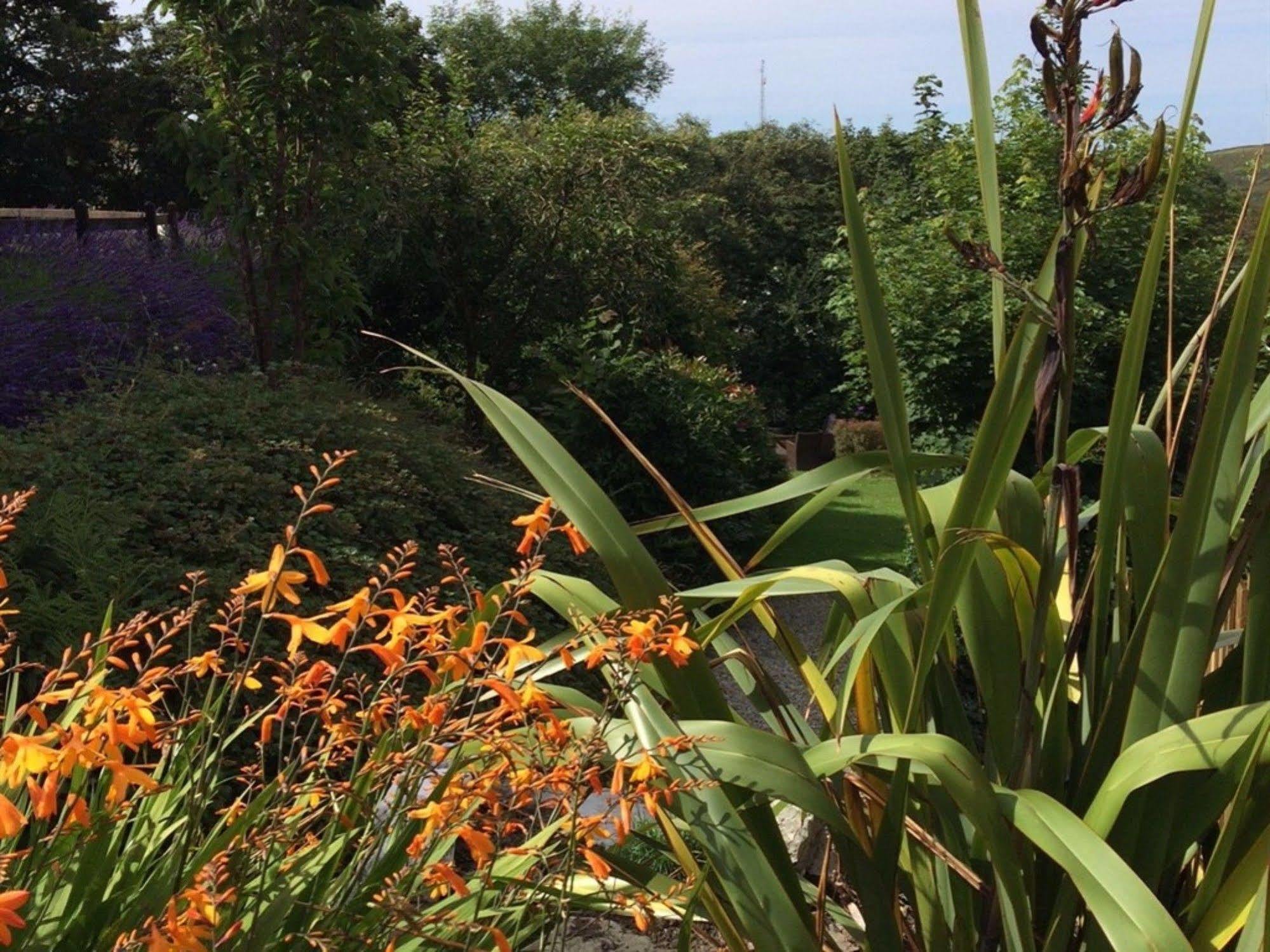 Boscastle House Bed & Breakfast Bagian luar foto
